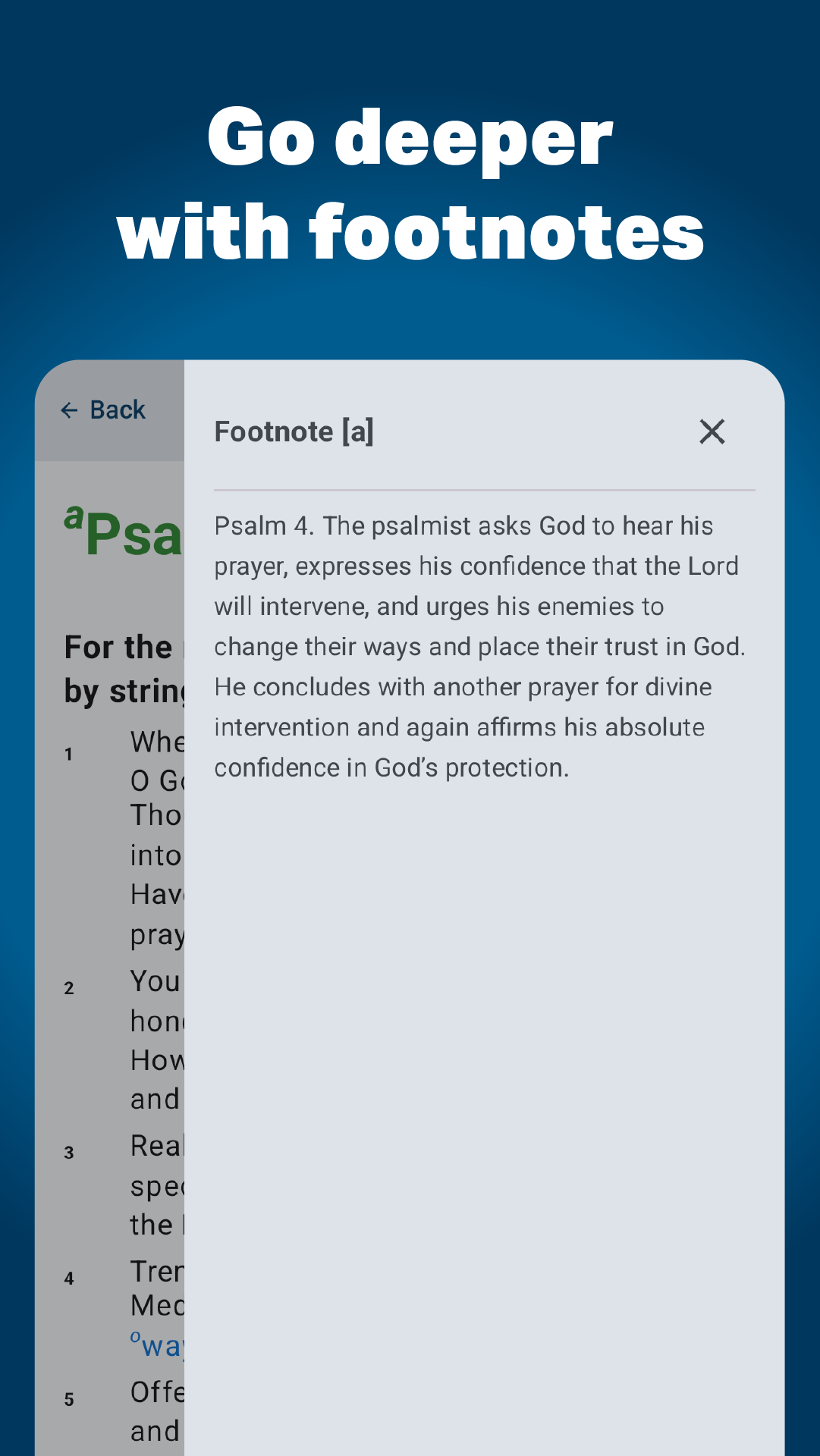 Daily Psalms footnote detail screen